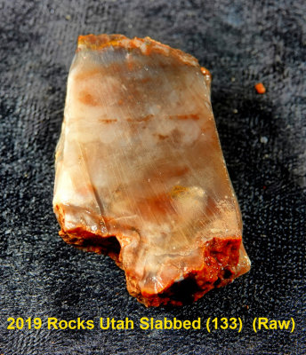 2019 Rocks Utah Slabbed (133)  RX406010 (Raw).jpg