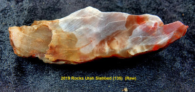 2019 Rocks Utah Slabbed (135)  RX406028 (Raw).jpg