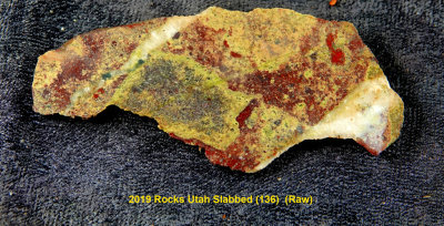 2019 Rocks Utah Slabbed (136)  RX406037 (Raw).jpg