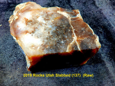 2019 Rocks Utah Slabbed (137)  RX406046 (Raw).jpg