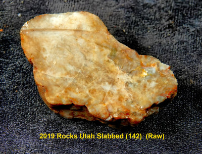 2019 Rocks Utah Slabbed (142)  RX406091 (Raw).jpg