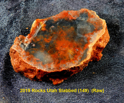 2019 Rocks Utah Slabbed (149)  RX406154 (Raw).jpg