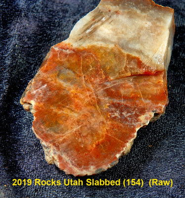 2019 Rocks Utah Slabbed (154)  RX406199 (Raw).jpg