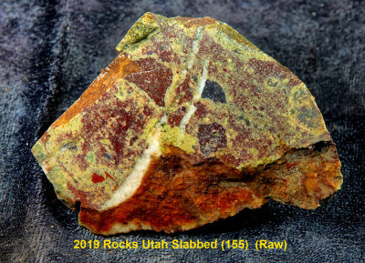 2019 Rocks Utah Slabbed (155)  RX406208 (Raw).jpg
