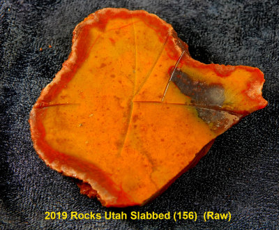 2019 Rocks Utah Slabbed (156)  RX406217 (Raw).jpg