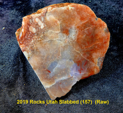 2019 Rocks Utah Slabbed (157)  RX406226 (Raw).jpg