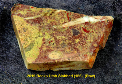 2019 Rocks Utah Slabbed (166)  RX406309 (Raw).jpg