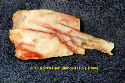 2019 Rocks Utah Slabbed (167)  RX406318 (Raw).jpg