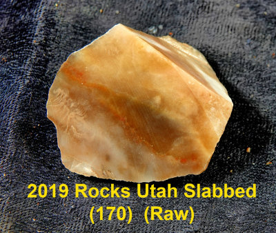 2019 Rocks Utah Slabbed (170)  RX406345 (Raw).jpg