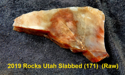 2019 Rocks Utah Slabbed (171)  RX406354 (Raw).jpg