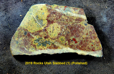 2019 Rocks Utah Slabbed (1) RX406408 (Polished).jpg