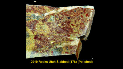 2019 Rocks Utah Slabbed (178) RX406453 (Polished)_InPixio.jpg