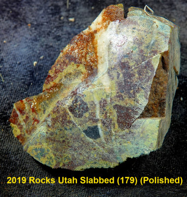 2019 Rocks Utah Slabbed (179) RX406462 (Polished).jpg
