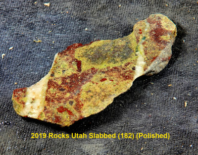 2019 Rocks Utah Slabbed (182) RX406489 (Polished).jpg