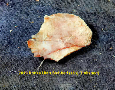 2019 Rocks Utah Slabbed (183) RX406498 (Polished).jpg