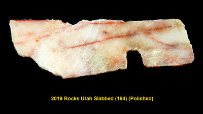 2019 Rocks Utah Slabbed (184) RX406507 (Polished)_InPixio.jpg