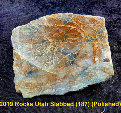 2019 Rocks Utah Slabbed (187) RX408454 (Polished).jpg