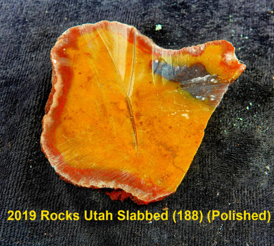 2019 Rocks Utah Slabbed (188) RX408464 (Polished).jpg