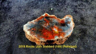 2019 Rocks Utah Slabbed (189) RX408473 (Polished).jpg
