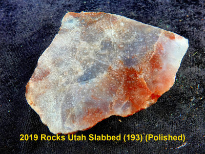 2019 Rocks Utah Slabbed (193) RX408515 (Polished).jpg