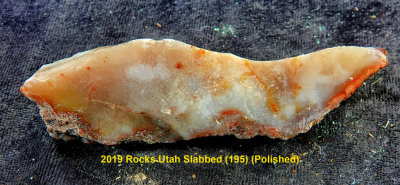 2019 Rocks Utah Slabbed (195) RX408534 (Polished).jpg