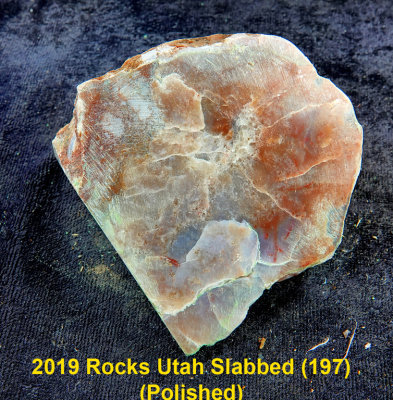 2019 Rocks Utah Slabbed (197) RX408553 (Polished).jpg
