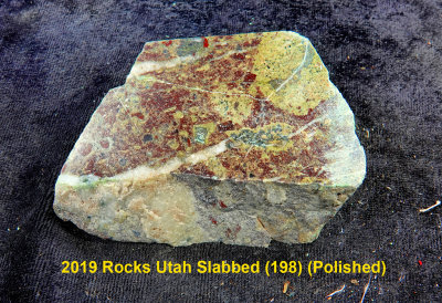 2019 Rocks Utah Slabbed (198) RX408562 (Polished).jpg