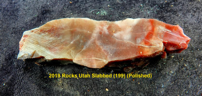 2019 Rocks Utah Slabbed (199) RX408571 (Polished).jpg