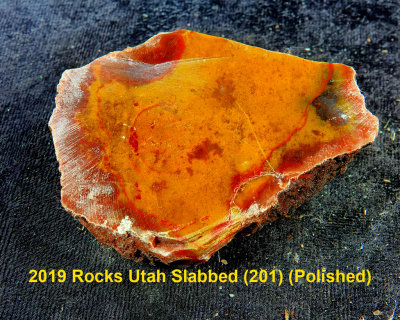 2019 Rocks Utah Slabbed (201) RX408590 (Polished).jpg