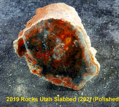 2019 Rocks Utah Slabbed (202) RX408599 (Polished).jpg
