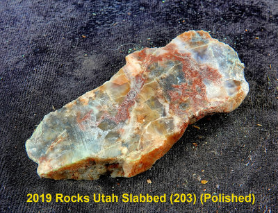 2019 Rocks Utah Slabbed (203) RX408609 (Polished).jpg