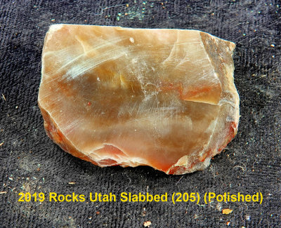 2019 Rocks Utah Slabbed (205) RX408627 (Polished).jpg