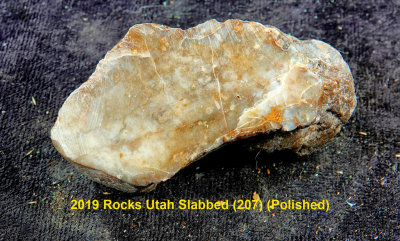 2019 Rocks Utah Slabbed (207) RX408645 (Polished).jpg