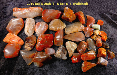 2019 Box 5 Utah (5)  & Box 6 (8) RX409085 (Stacked) (Polished) (Labeled).jpg