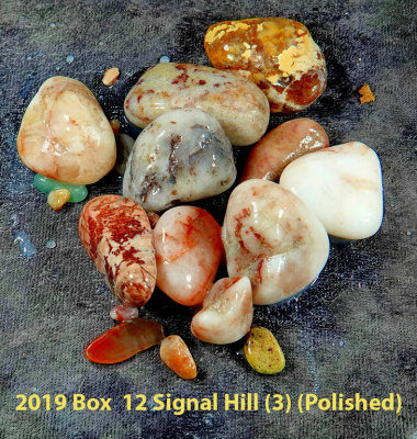 2019 Box  12 Signal Hill (3) RX409669 (Polished)_dphdr.jpg