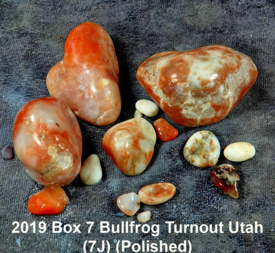 2019 Box 7 Bullfrog Turnout Utah (7J)  RX409725 (Polished)_dphdr.jpg
