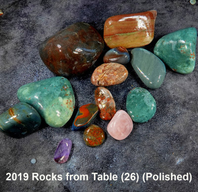 2019 Rocks from Table (26) RX409770 (Polished).jpg