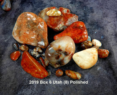 2019 Box 6 Utah (8)RX409910 (Polished.jpg