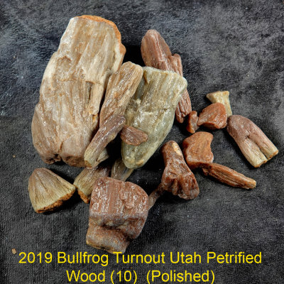 2019 Bullfrog Turnout Utah Petrified Wood (10) RX400023 (Polished)_dphdr.jpg
