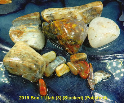 2019 Box 1 Utah (3) RX400702 (Stacked) (Polished).jpg