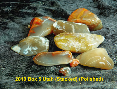 2019 Box 5 (3) Utah  RX403932 (Stacked) (Polished)_dphdr.jpg