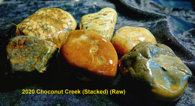 2020 Choconut Creek RX404433 (Stacked) (Raw).jpg