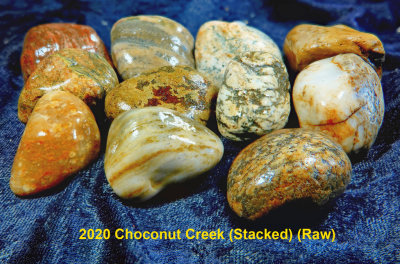 2020 Choconut Creek RX404451 (Stacked) (Raw).jpg