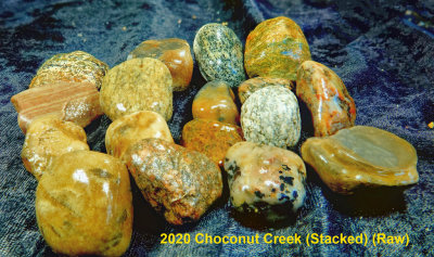 2020 Choconut Creek RX404478 (Stacked) (Raw).jpg