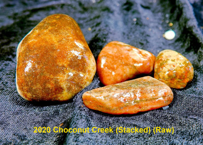 2020 Choconut Creek RX404487 (Raw).jpg