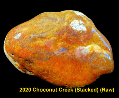 2020 Choconut Creek RX404496 (Raw)_InPixio.jpg