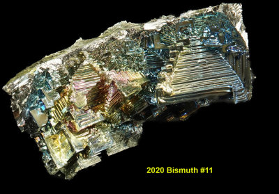 2020 Bismuth #11 RX405607_InPixio.jpg