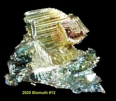 2020 Bismuth #12 RX405616_InPixio.jpg