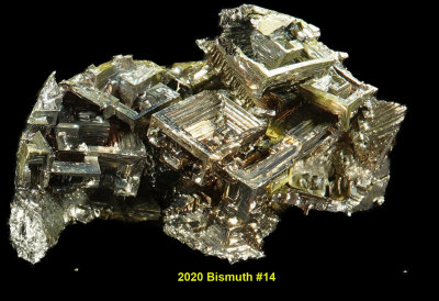 2020 Bismuth #14 RX405634_InPixio.jpg