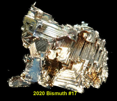 2020 Bismuth #17 RX405661_InPixio.jpg